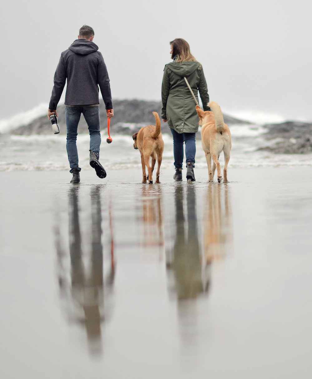 Dog walk on Chesterman Beach