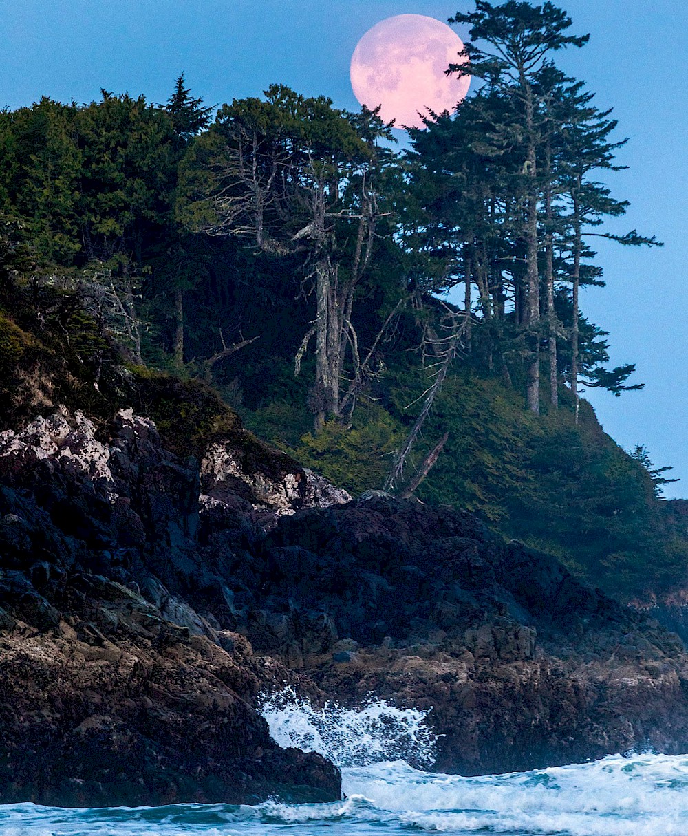 West Coast by Marcus Paladino