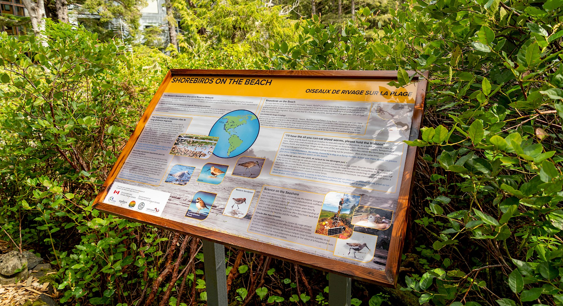Shorebird Signage