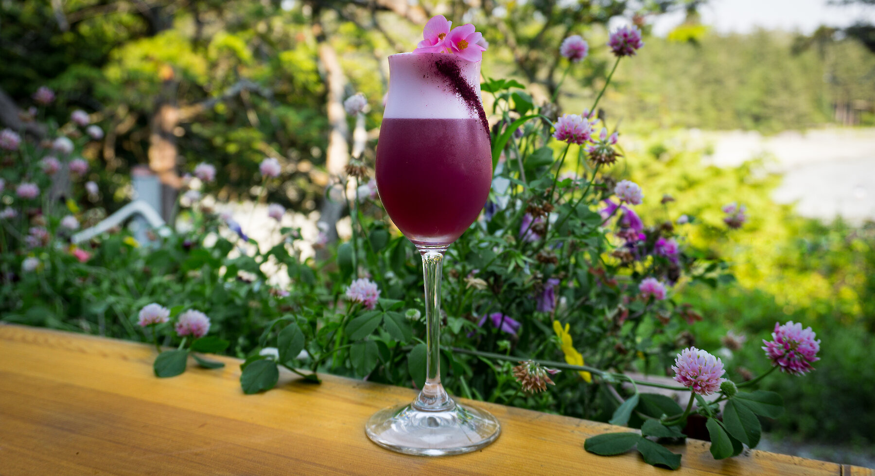 Salal Sour - Izabela Elias