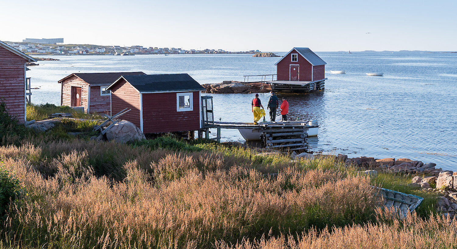 Fogo Island Fisherman