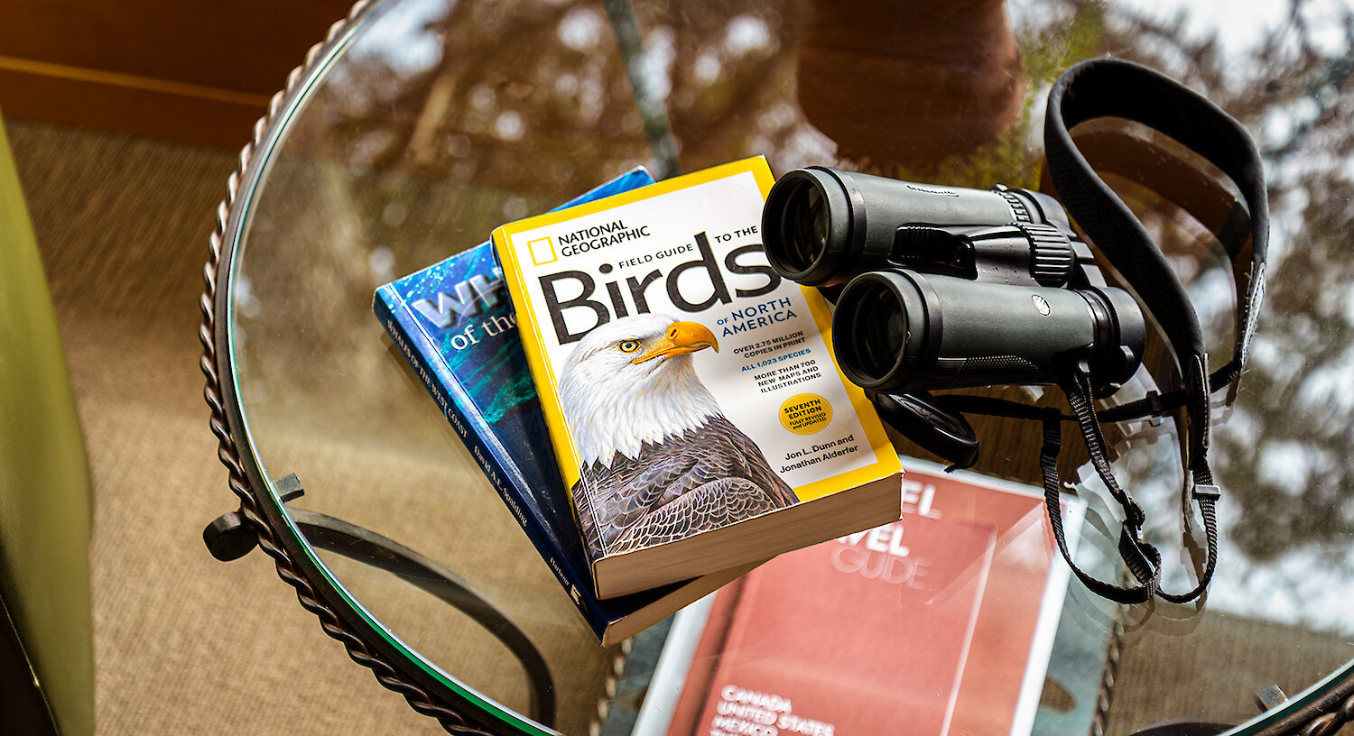 Bird Watching Supplies in Every Guestroom by Caitlin Ronda
