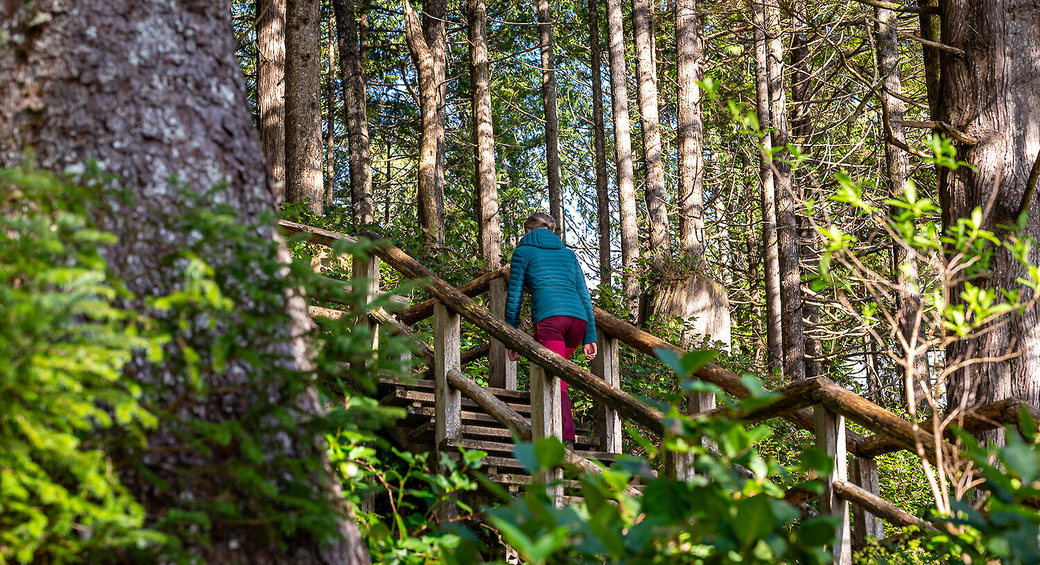 Exploring the Trail by Caitlin Ronda
