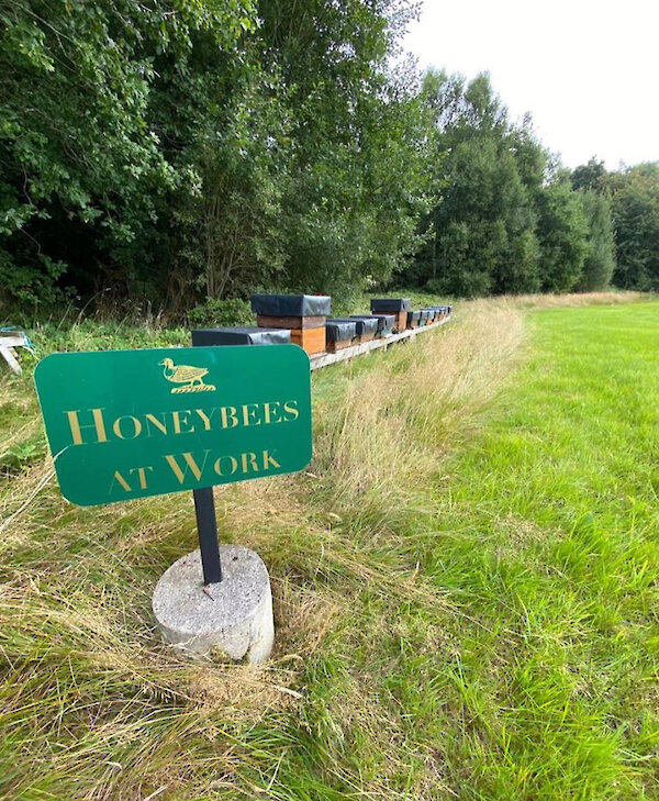 Ballyfin Demesne Honey Bees