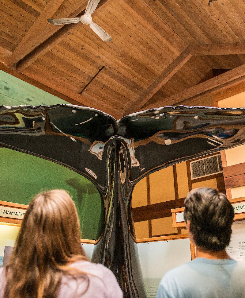 Kwisitis Visitor Centre Exhibit