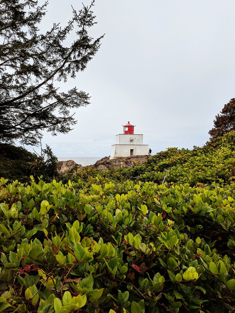 Amphitrite Point Lighthouse by Caitlin Ronda