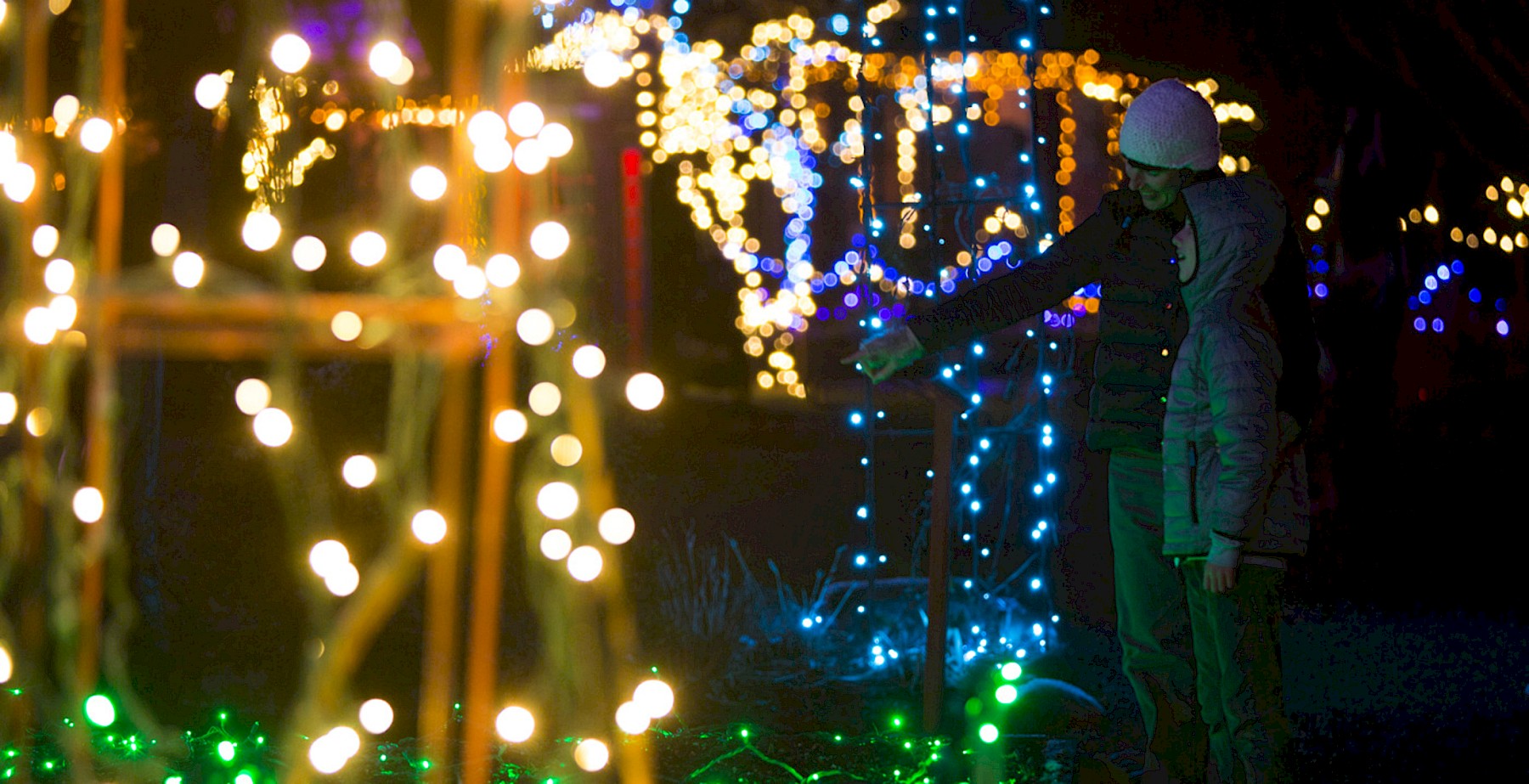 Tofino Botanical Gardens Winterlights
